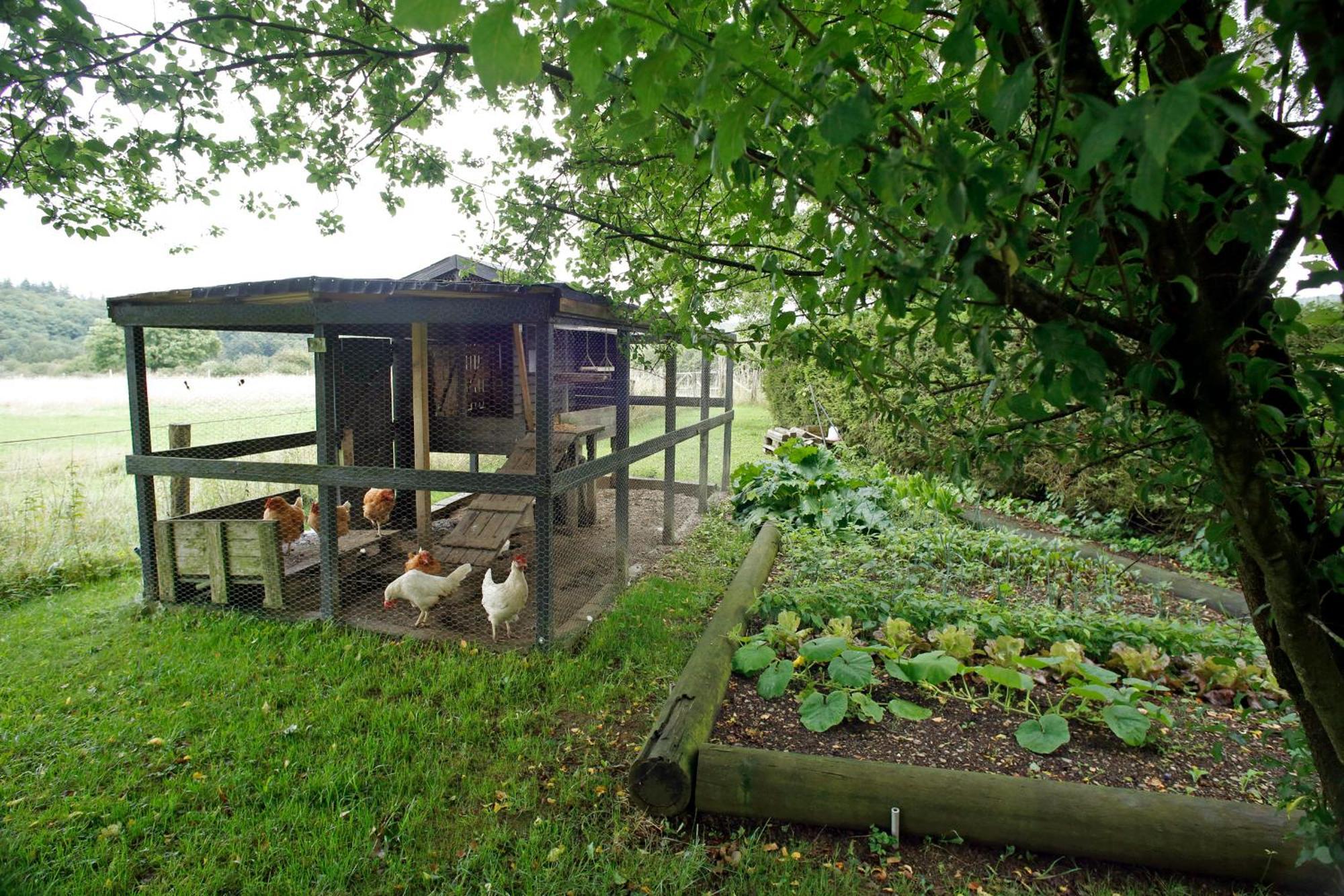 B&B Au Coq En Pate Jalhay Bagian luar foto